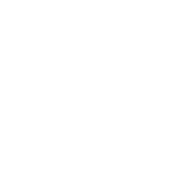 IATA Travel Industry Designator Service