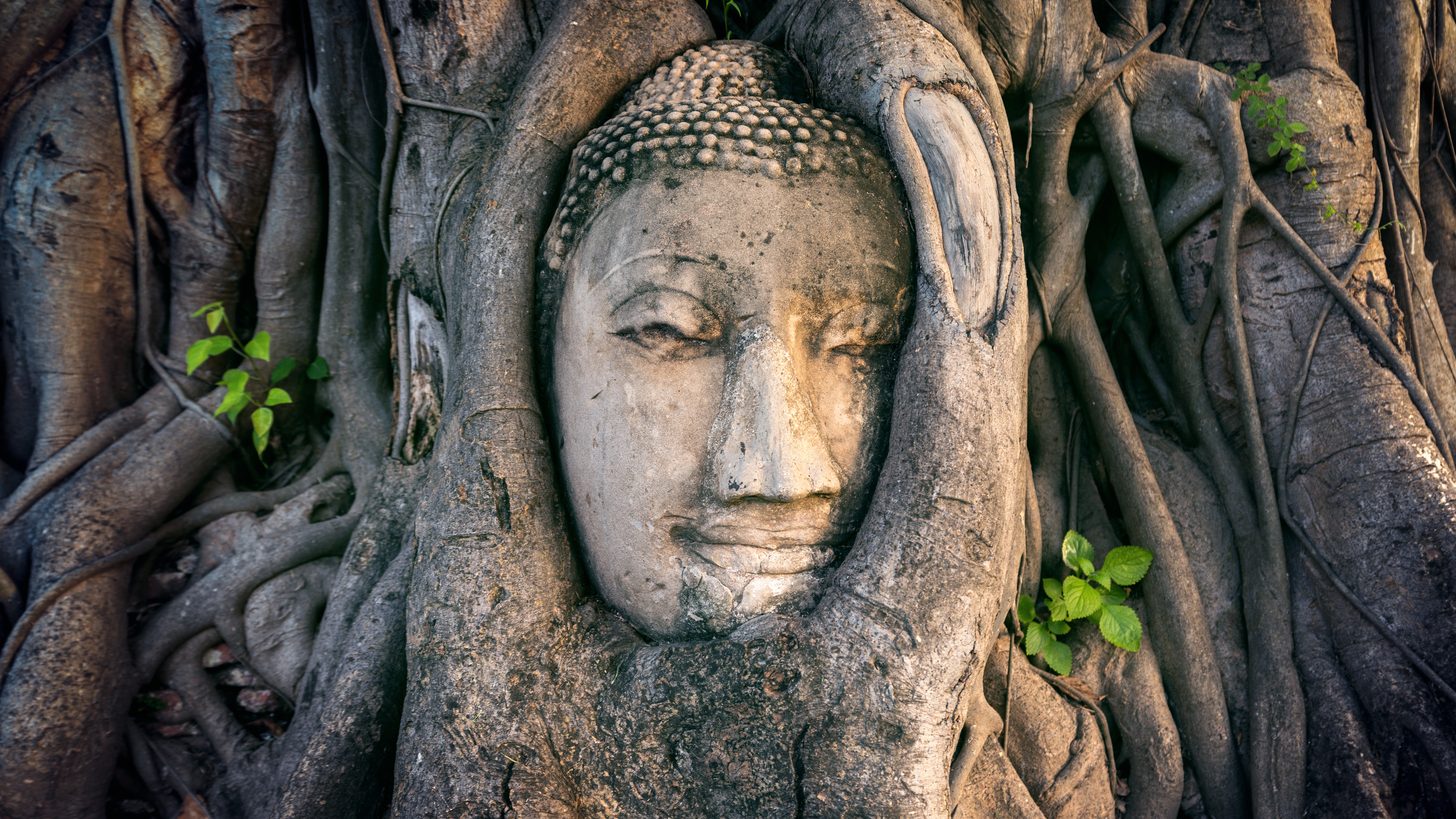 Ayutthaya Day Trip: Selling Thailand's Ancient Capital
