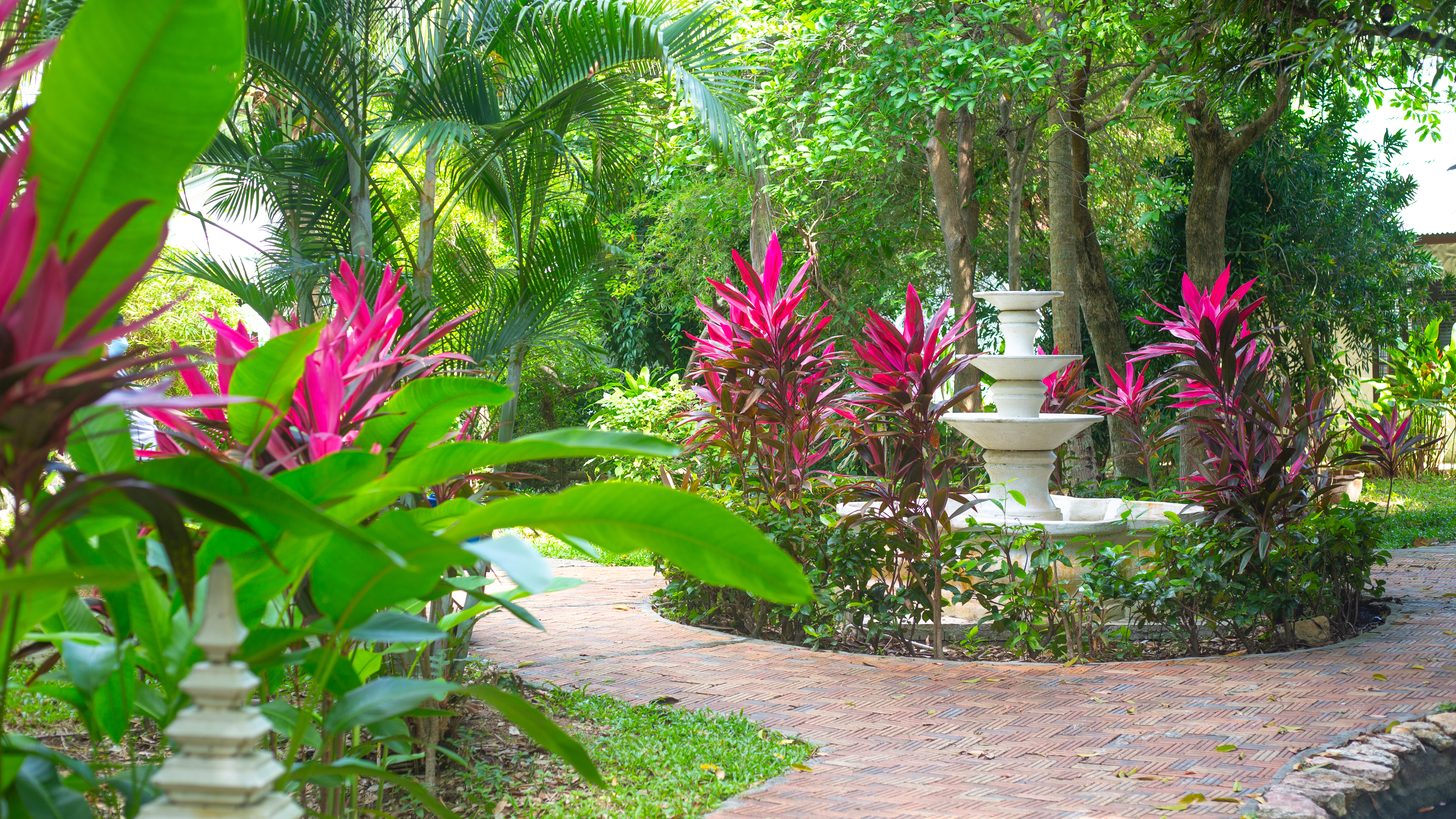 Nong Nooch Tropical Garden: A Pattaya Day Trip for Agents