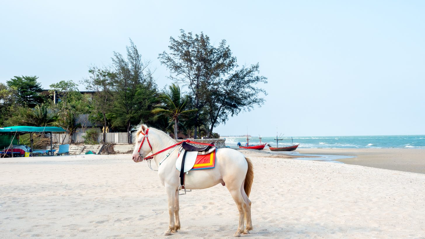 Hua Hin: Selling Thailand's Royal Beach Resort to Your Clients
