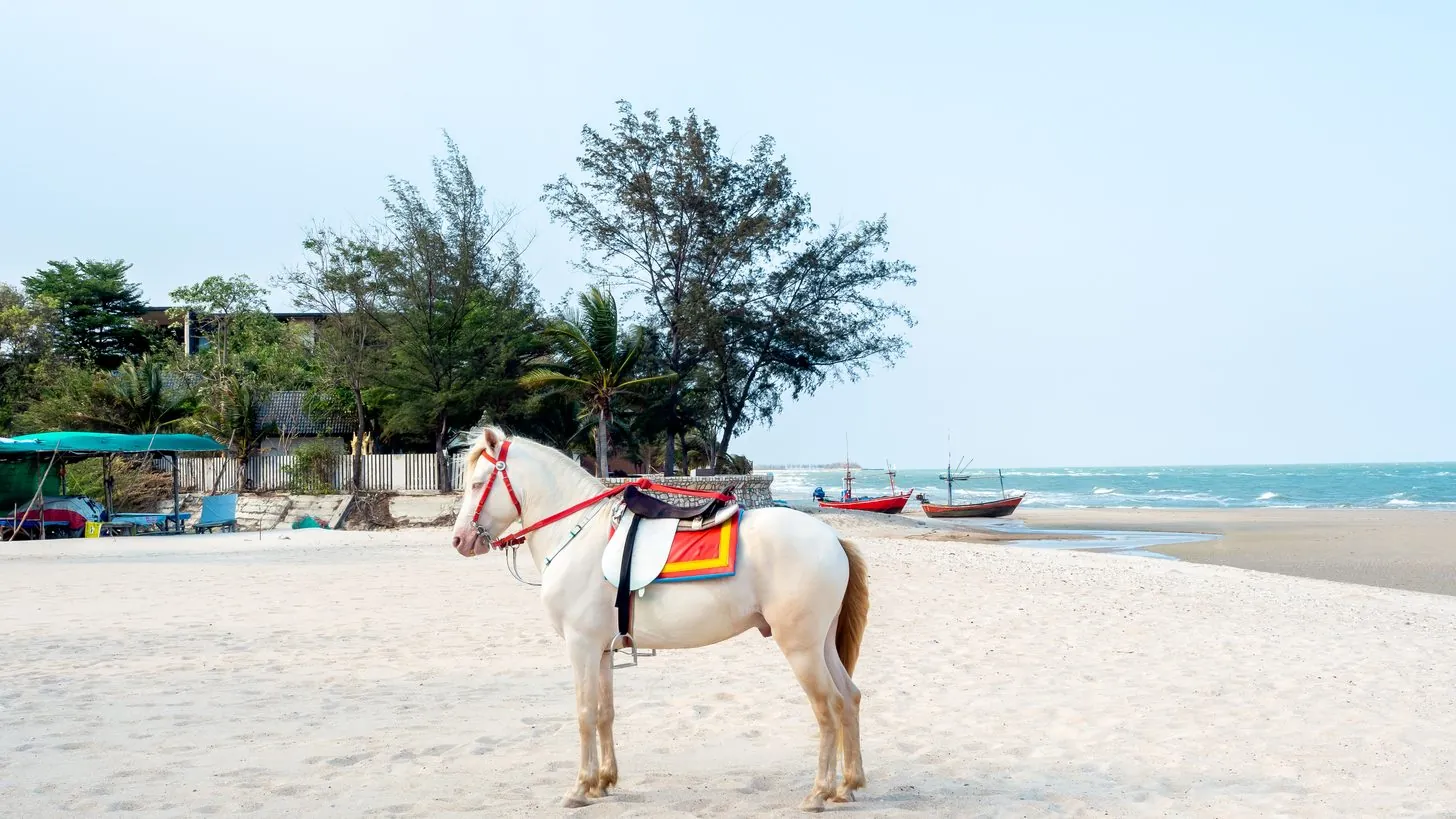 Hua Hin: Selling Thailand's Royal Beach Resort to Your Clients