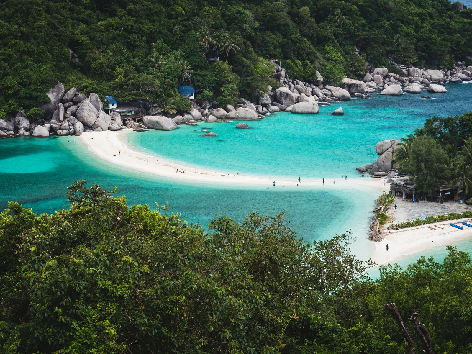 Koh Tao & Koh Nang Yuan: The Snorkel-and-Viewpoint Day Travel Agents Should Sell