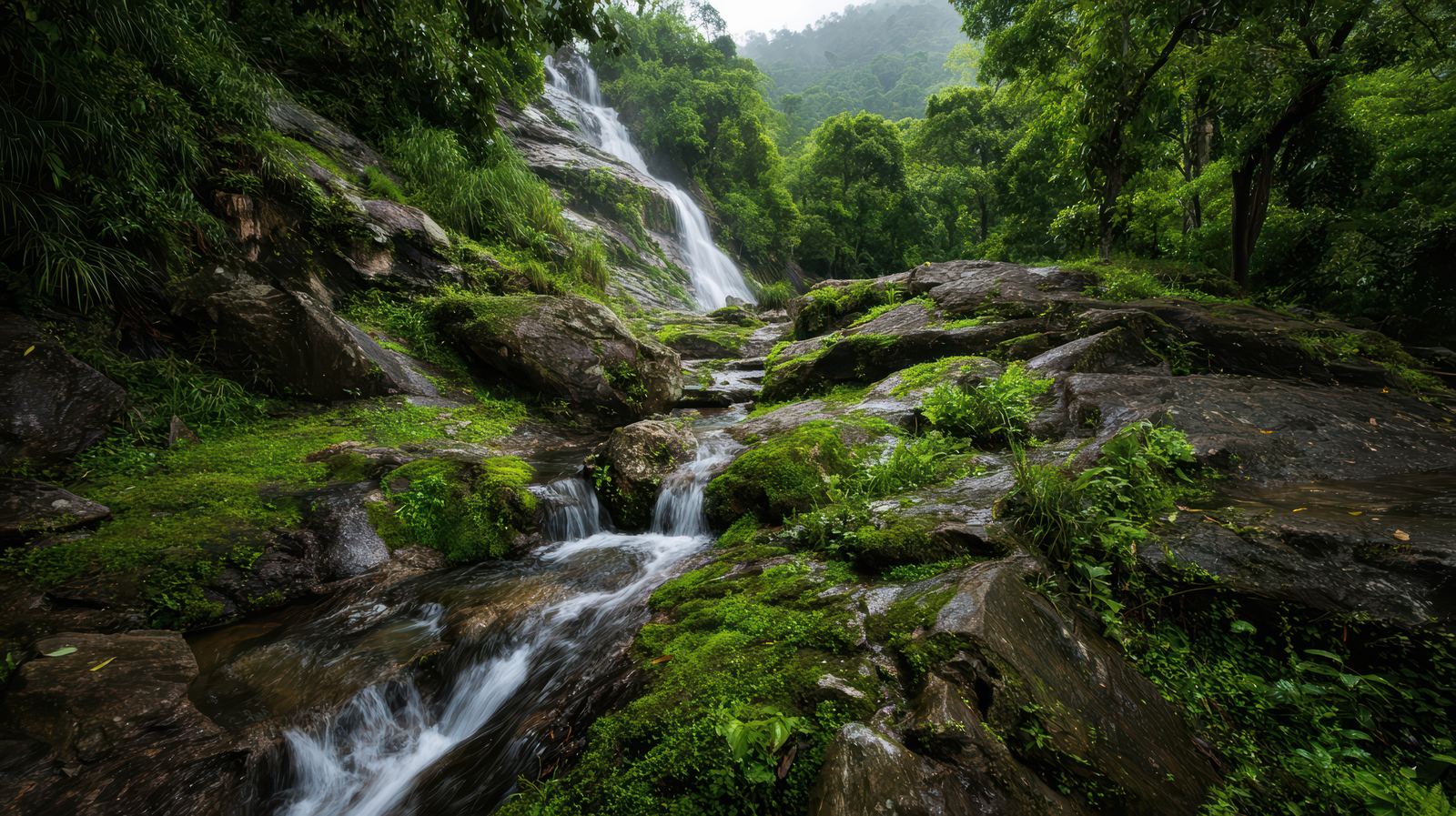 Krabi Jungle Tour: Waterfalls, Hot Springs & Pools Travel Agents Should Sell