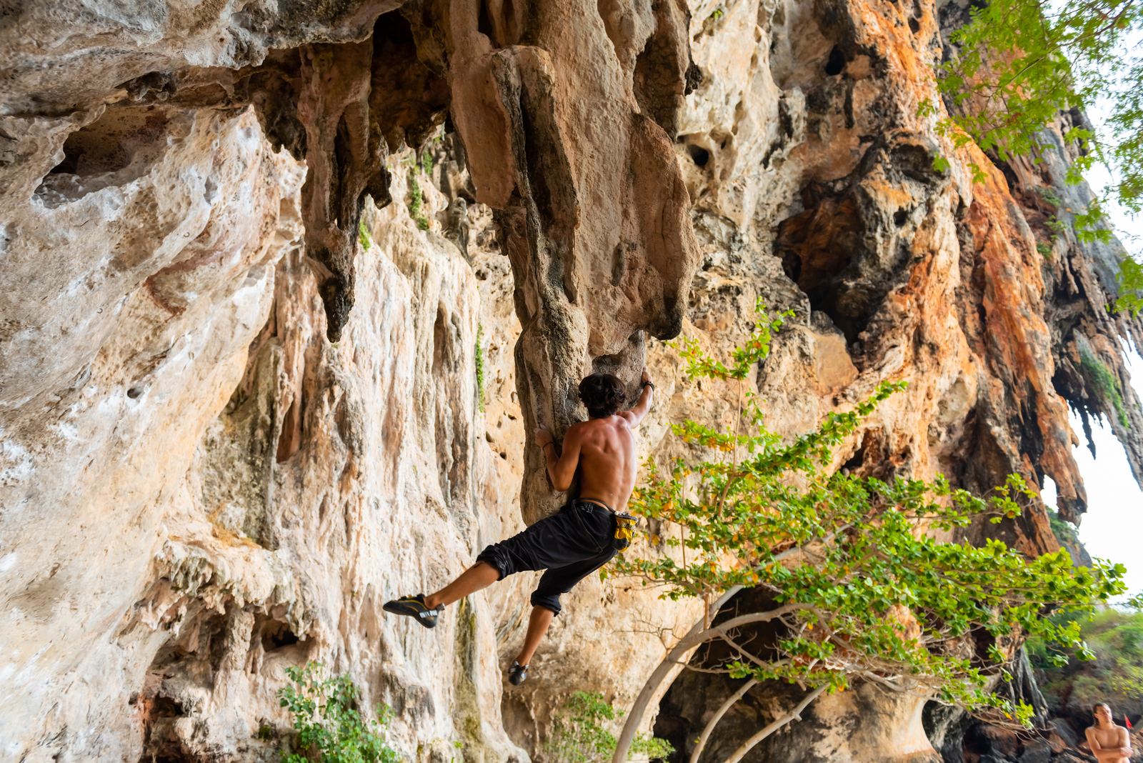 Rock Climbing in Krabi: Railay's World-Class Cliffs Travel Agents Should Sell