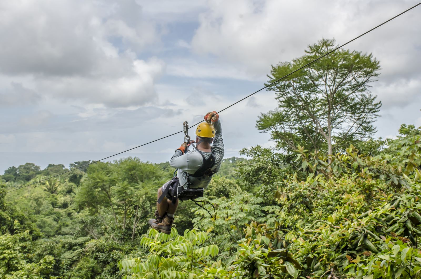 Samui Zipline Adventure: The Jungle Canopy Thrill Travel Agents Should Sell