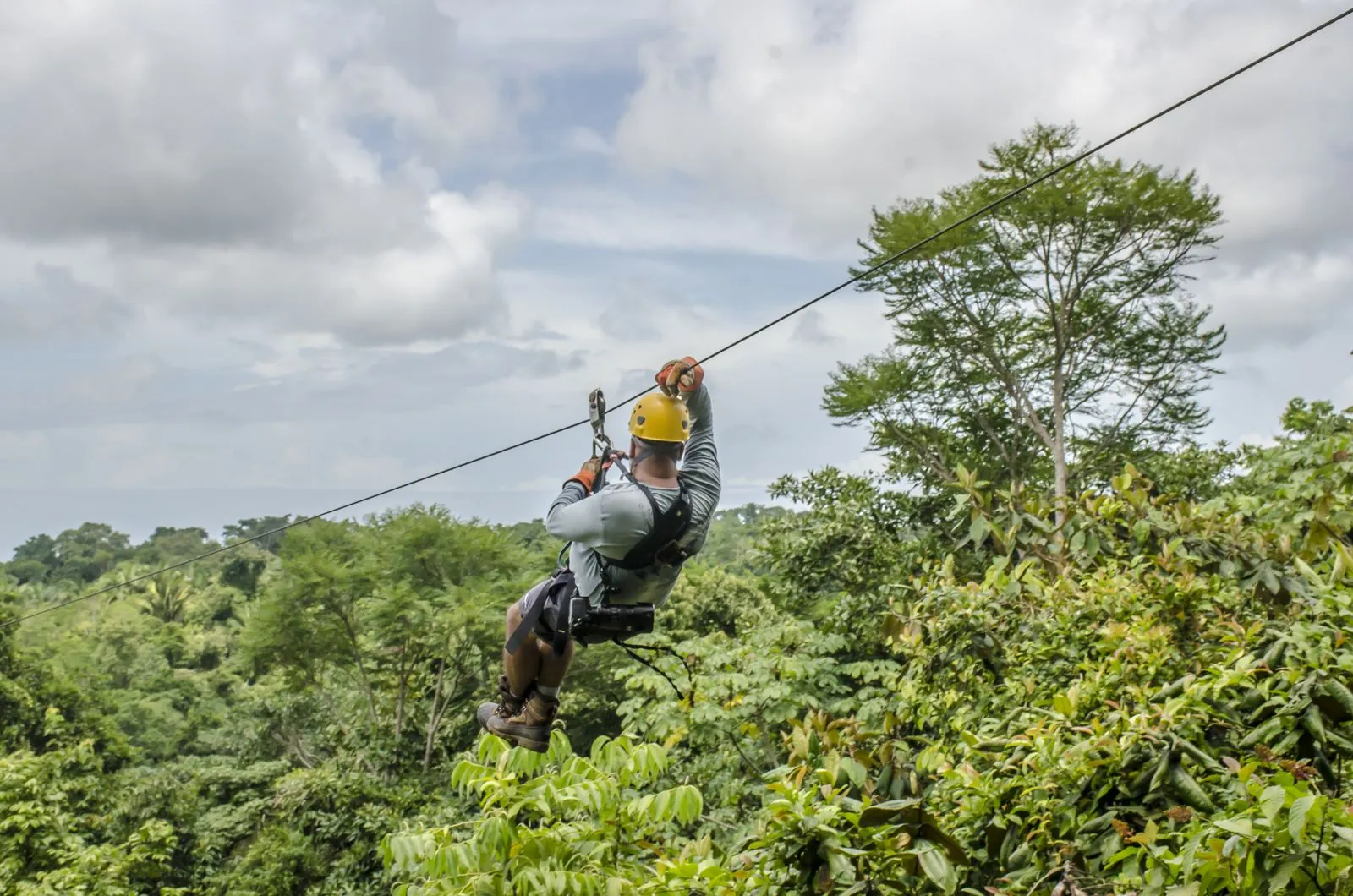 Samui Zipline Adventure: The Jungle Canopy Thrill Travel Agents Should Sell