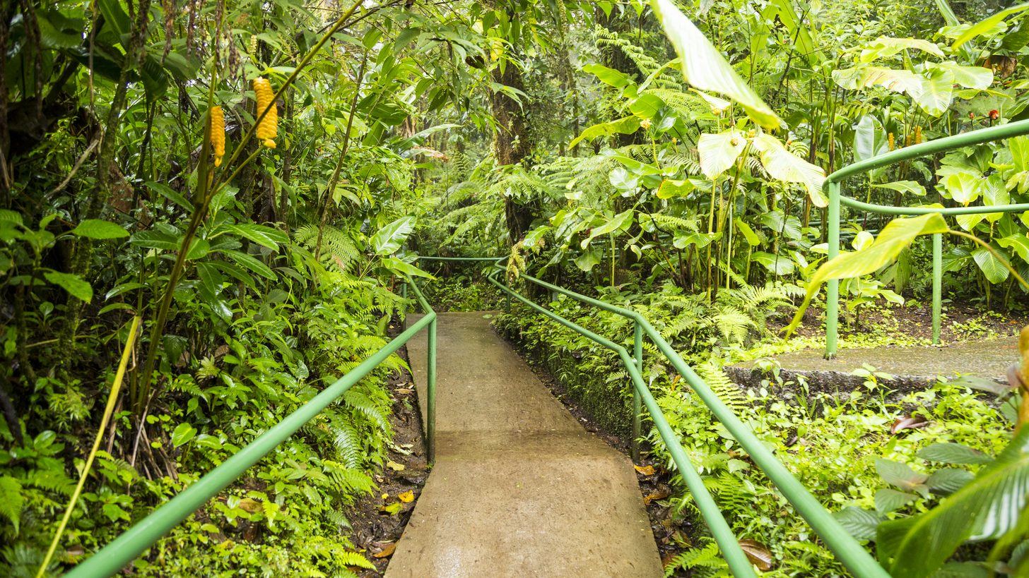 Bang Krachao, Bangkok's Green Lung: A Thailand DMC Guide for Travel Agents