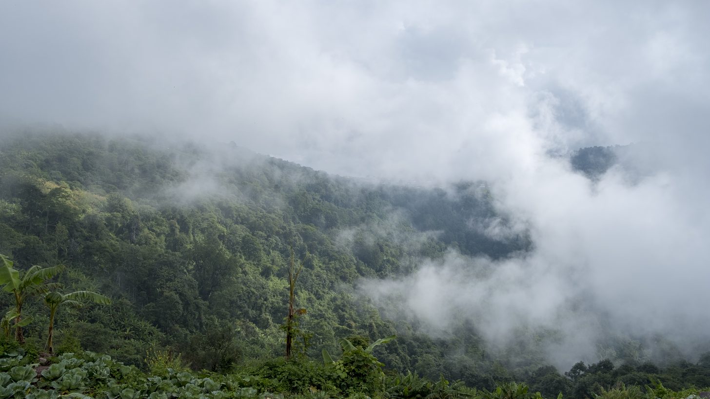 Morning mist over a forested mountain in a Thai national park