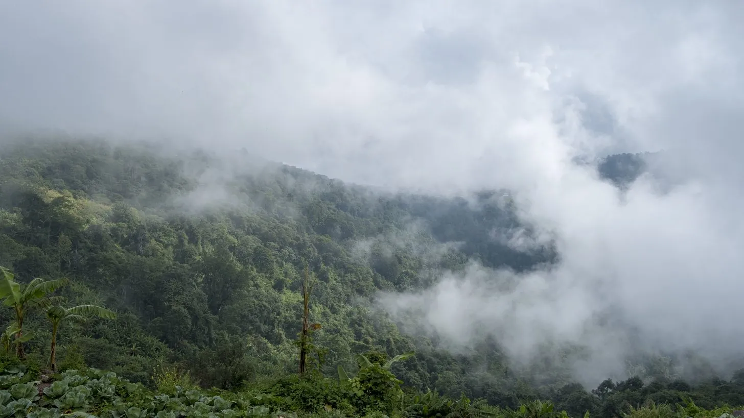 Morning mist over a forested mountain in a Thai national park