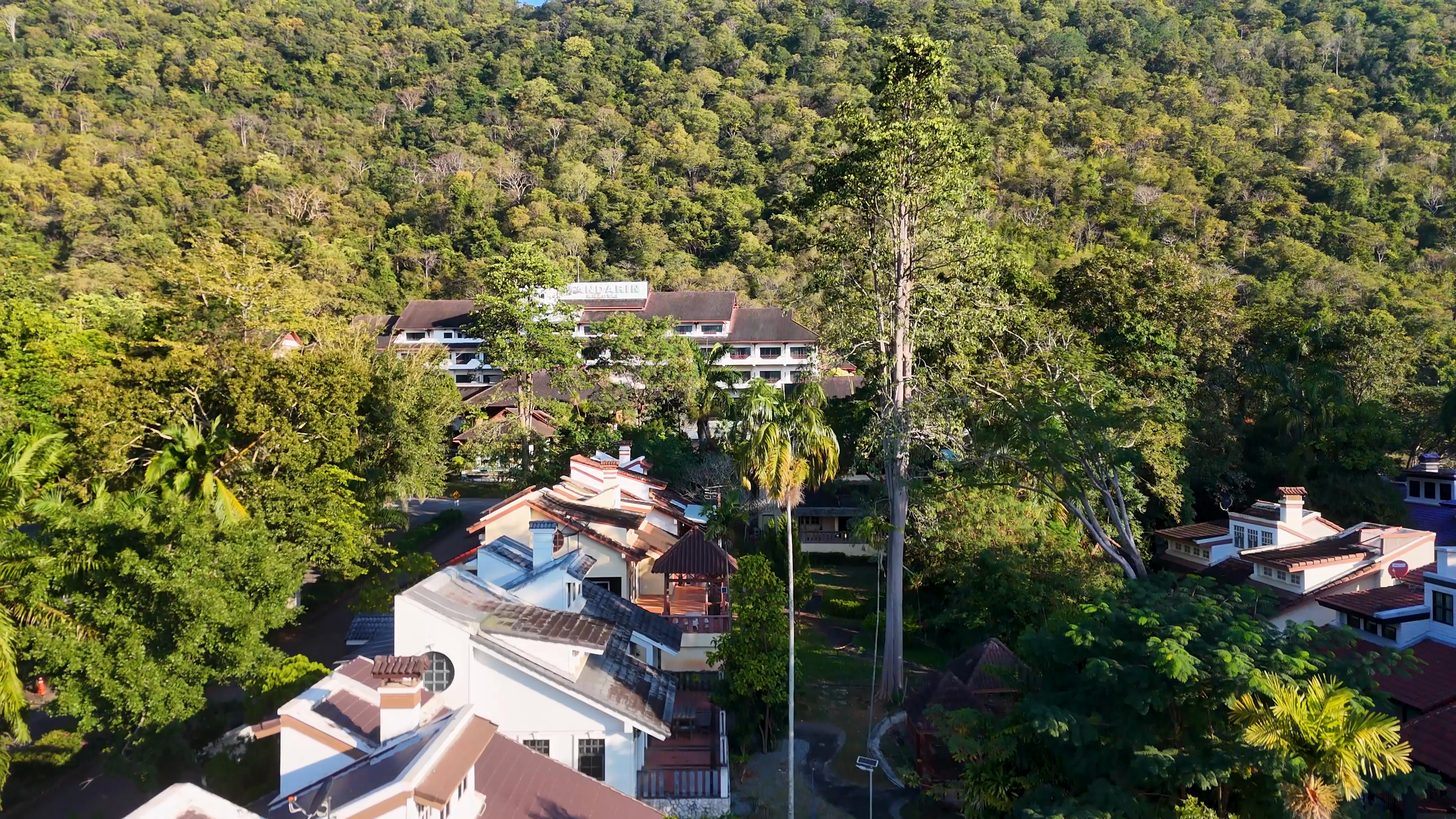 Sustainable eco-resort nestled in Thailand rainforest surroundings