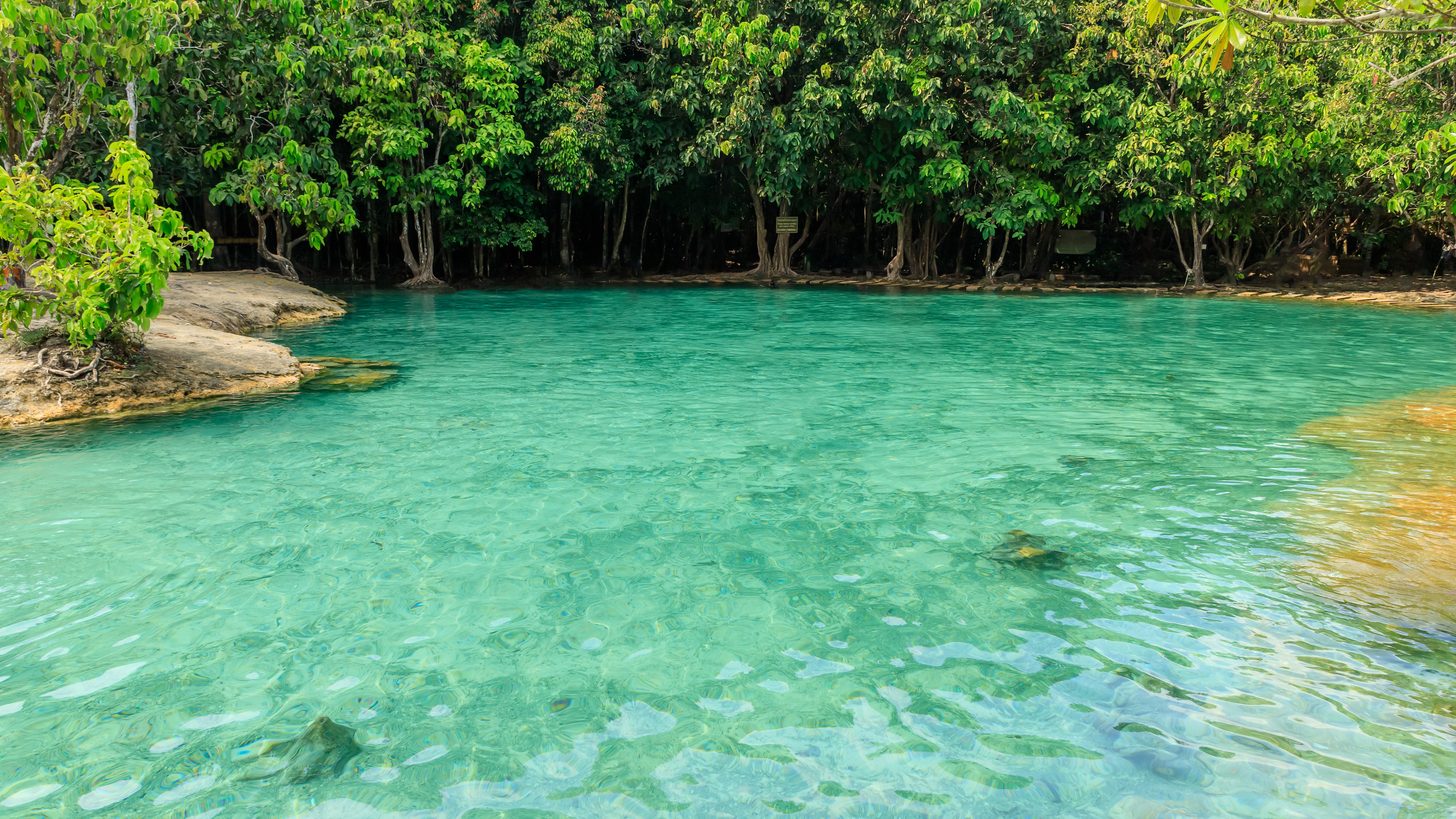 A crystal-clear natural jungle swimming pool in southern Thailand