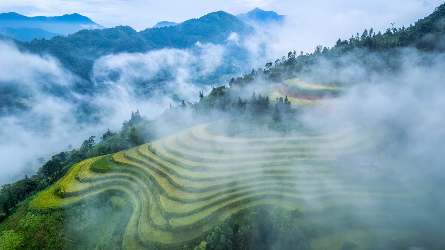 Sattgrüne Reisterrassen und nebelverhangene Dschungelhügel bei Chiang Mai nach saisonalem Regen
