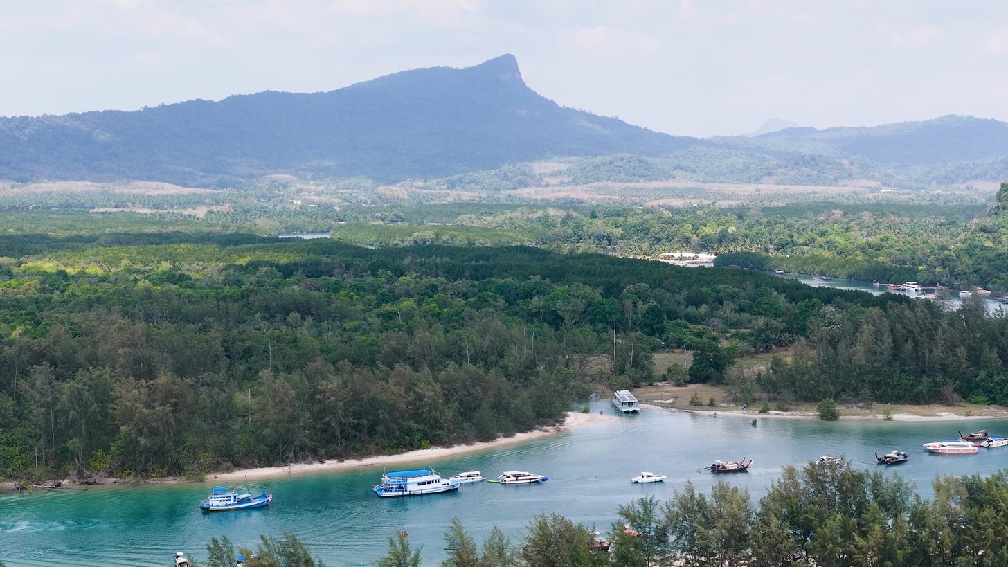 Vue en surplomb d'un chenal de Krabi où mouillent vedettes rapides, long-tails et un petit bateau de croisière, côte boisée et pic calcaire à l'arrière-plan