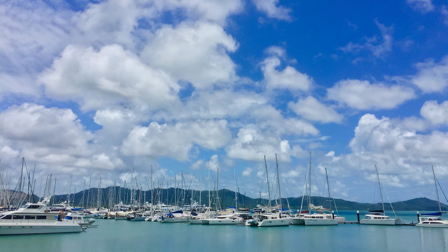 Racing yachts under sail competing close together on open water
