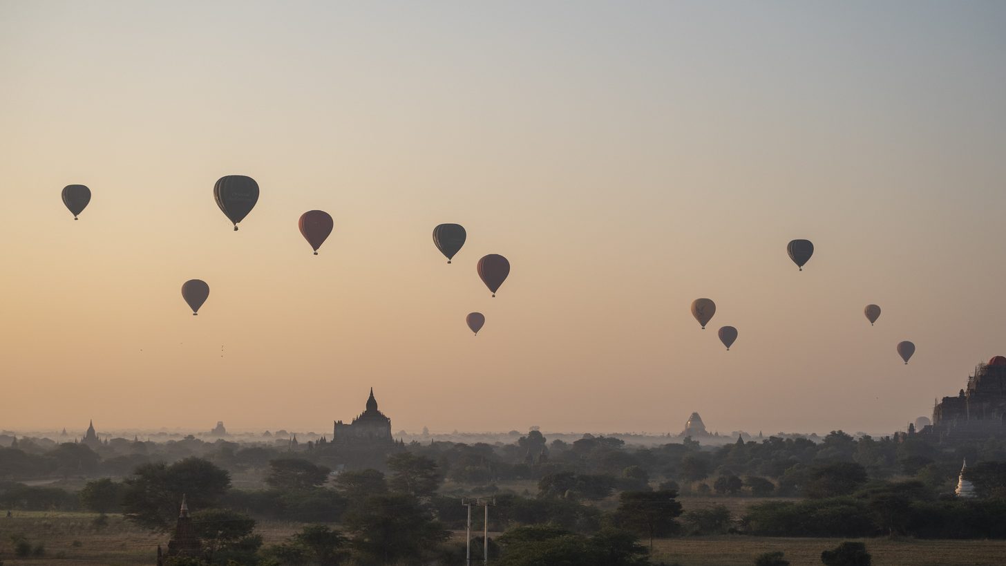 A hot-air balloon rising in soft sunrise light