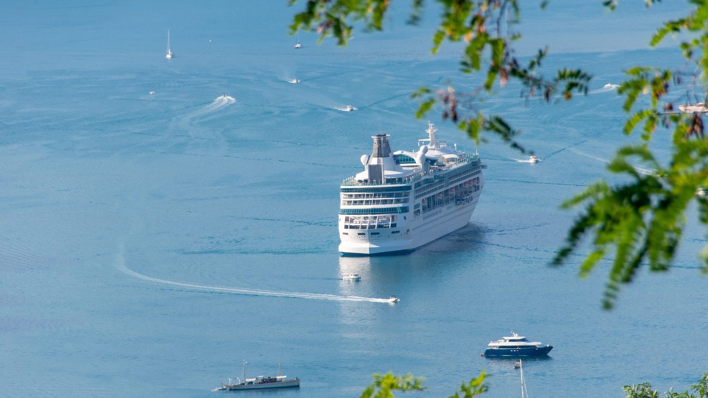 A large cruise ship at anchor in a bay, with small boats running to and from it
