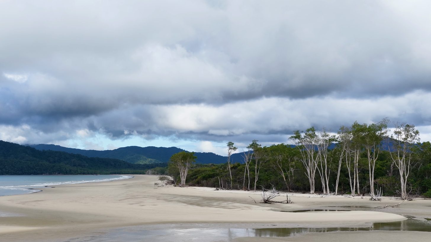A wide empty beach backed by dense coastal forest and hills under heavy cloud