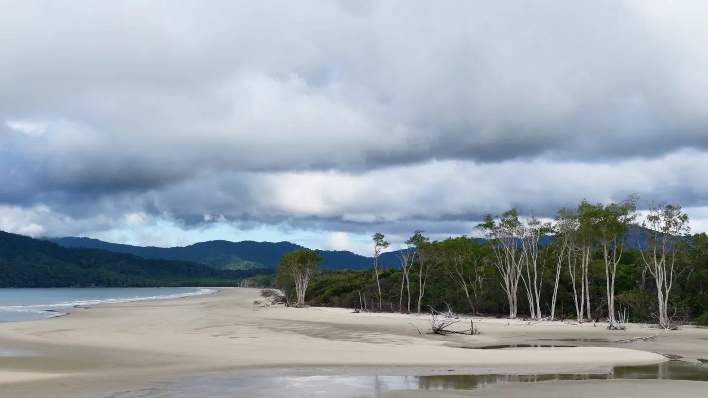 Ein breiter leerer Strand vor dichtem Küstenwald und Hügeln unter schwerer Bewölkung