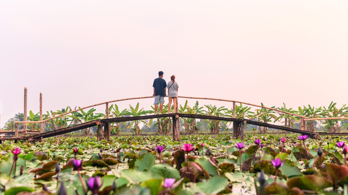 Two people standing on a bamboo footbridge above a pond covered in pink lotus flowers, banana palms behind