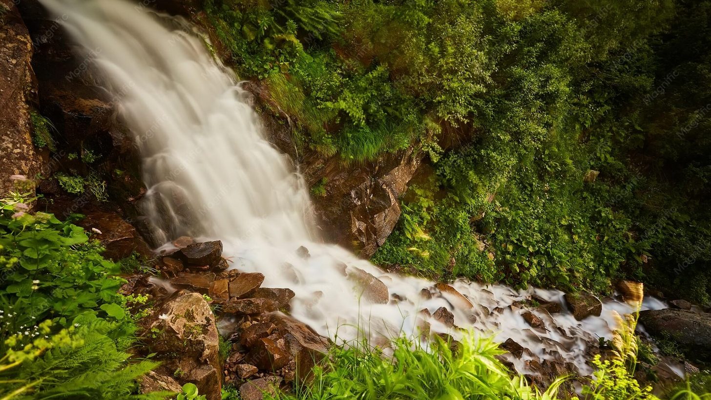 Ein schneller, vom Regen gespeister Bach fließt durch dichten Wald