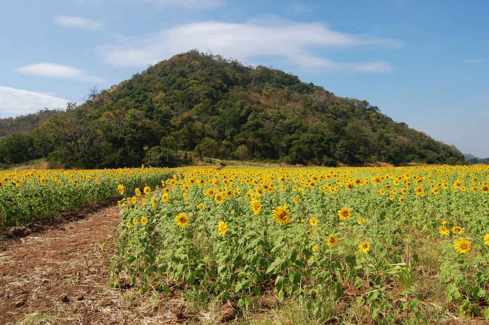 Saraburi, Thailand — Explera DMC destination guide