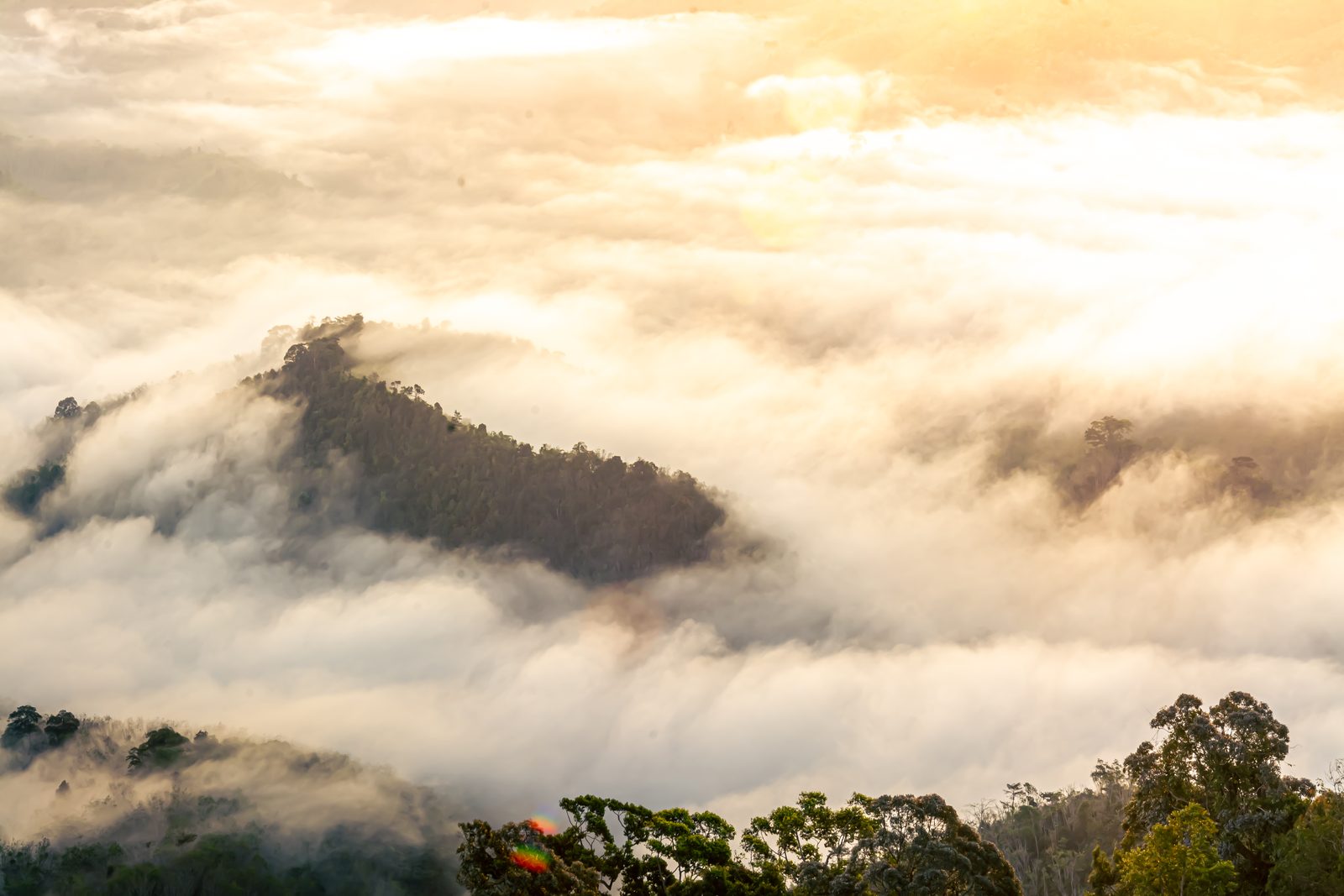 Yala, Thailand — Explera DMC destination guide