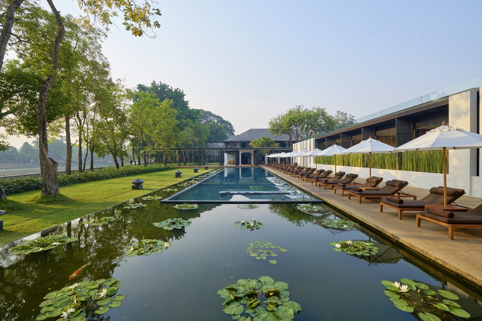 34-metre pool beside lily ponds at Anantara Chiang Mai Resort