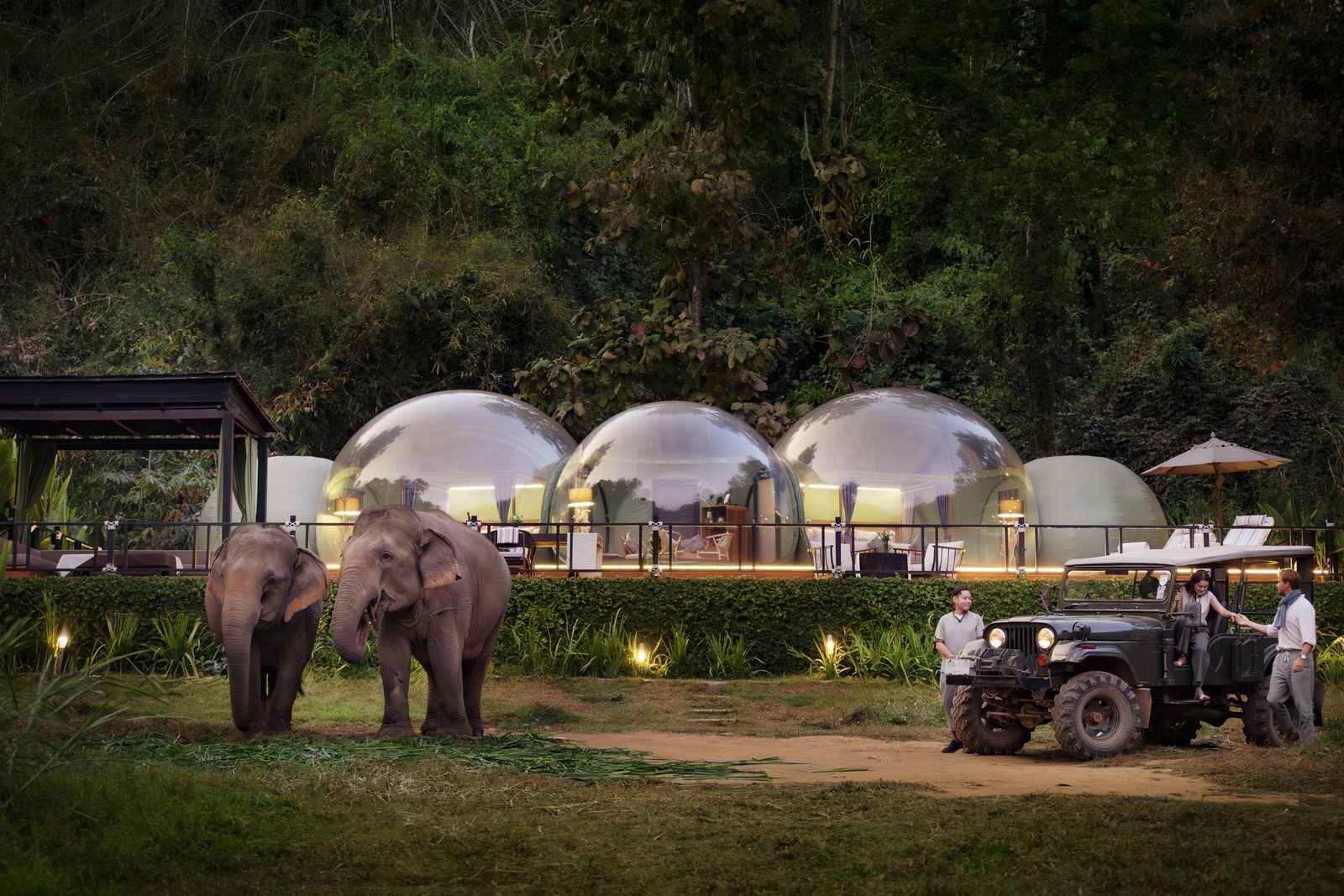 Jungle Bubble Lodge at dusk with elephants at Anantara Golden Triangle Elephant Camp & Resort