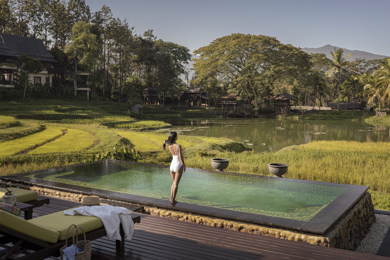 Infinity-edge pool beside the rice terraces at Four Seasons Resort Chiang Mai