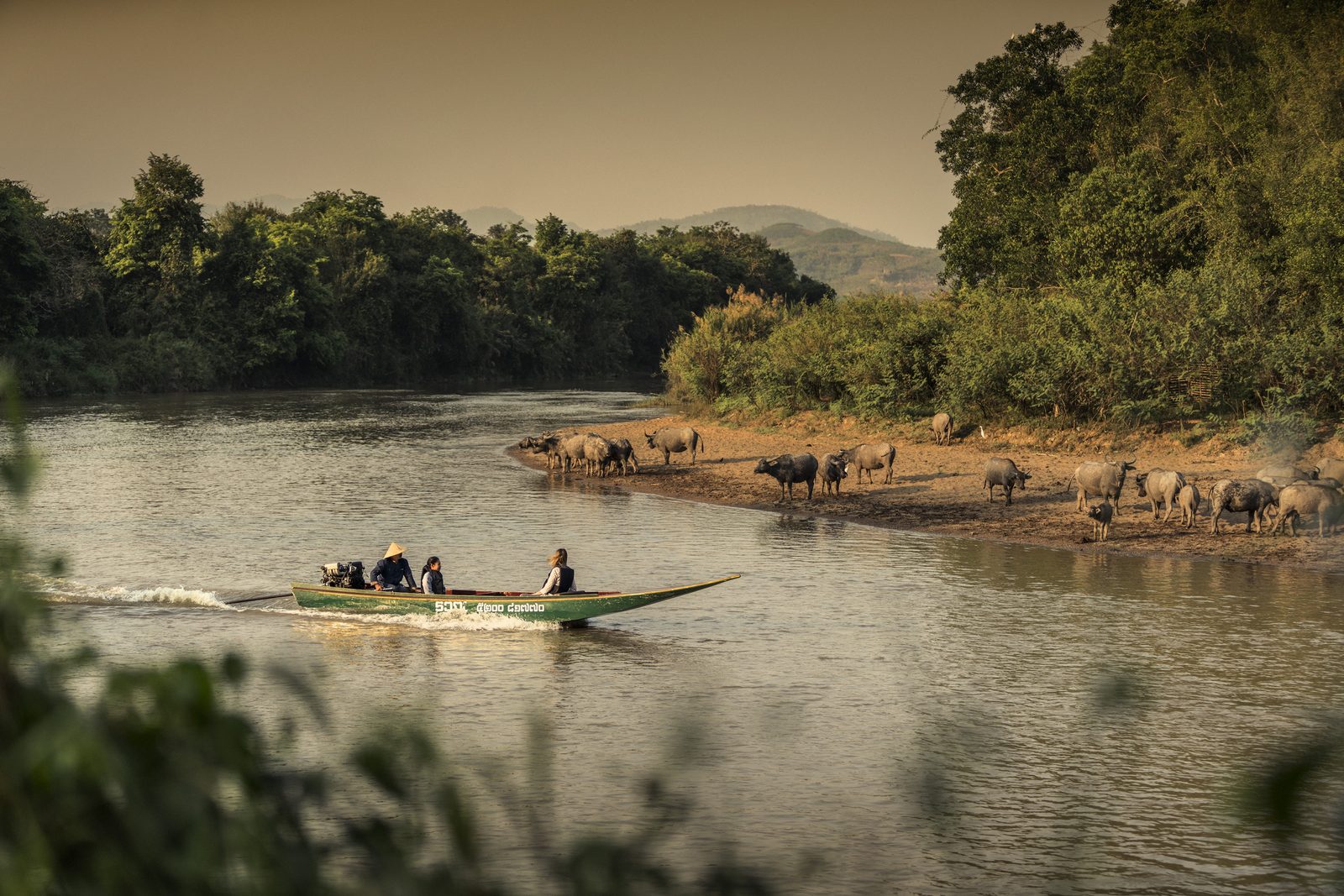 Long-tail boat on the river with elephants on the bank near Four Seasons Tented Camp Golden Triangle