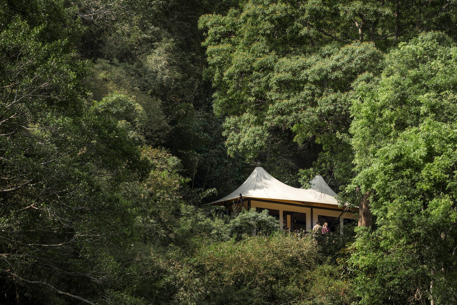 Canvas tent set in the forest canopy at Four Seasons Tented Camp Golden Triangle