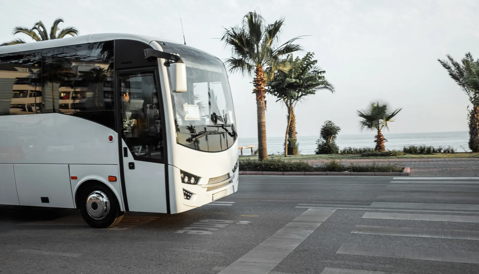 White midi-coach on a palm-lined seafront road