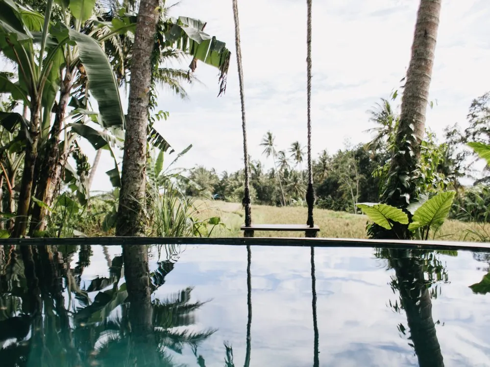 Infinity pool reflecting palm trees and tropical gardens
